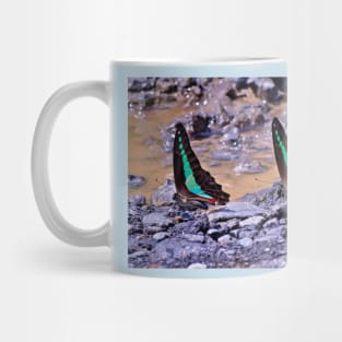 COLOURS OF THE JUNGLE Mug